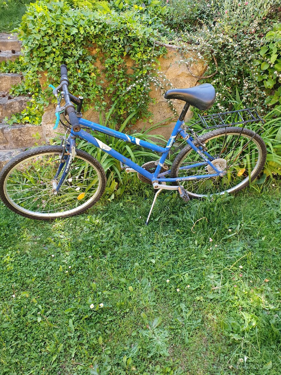 Kolo