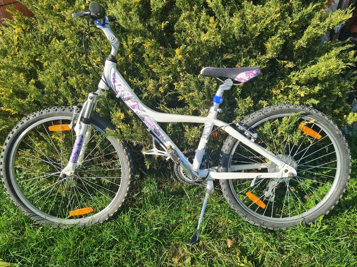 Jízdní kolo Taffy Giant