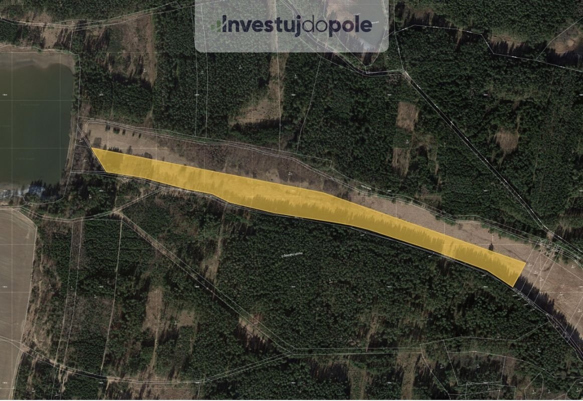 Prodej louky 40 954 m², Trstěnice, ev.č. 2025-06-24-40