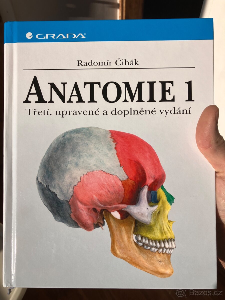 Anatomie 1 Čihák