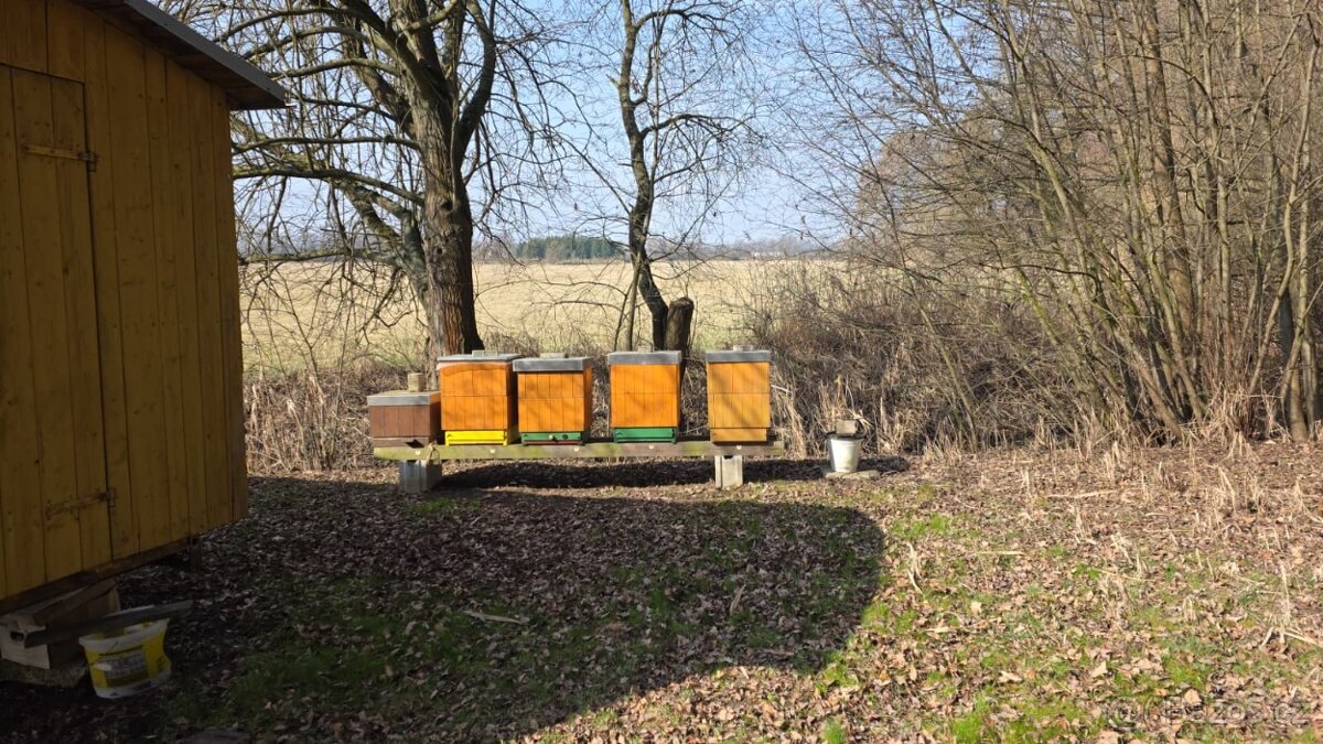 Vyzimovana včelstva 39x24