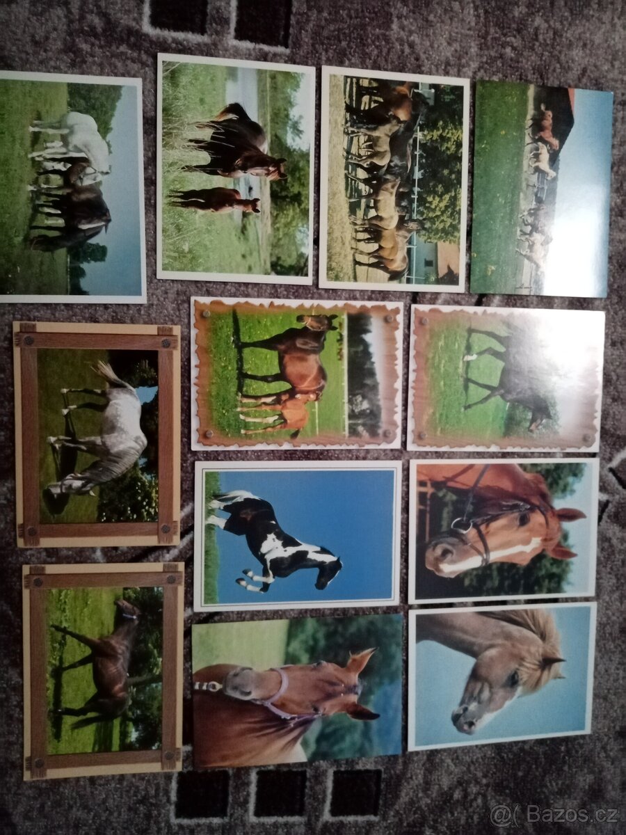 Prodám 12 starých nepoužitých pohlednic s koňmi