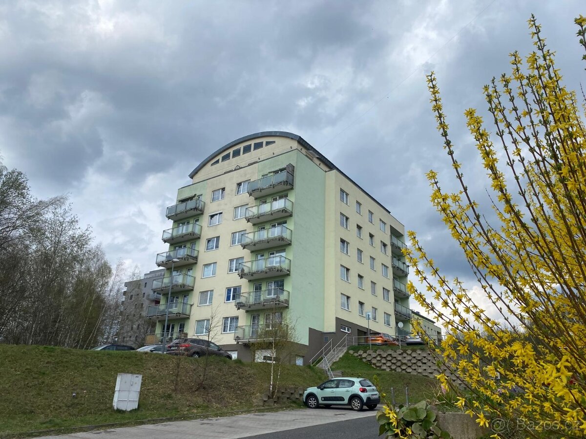 Prodej bytu OV 1+kk, Zelené Údolí, Liberec