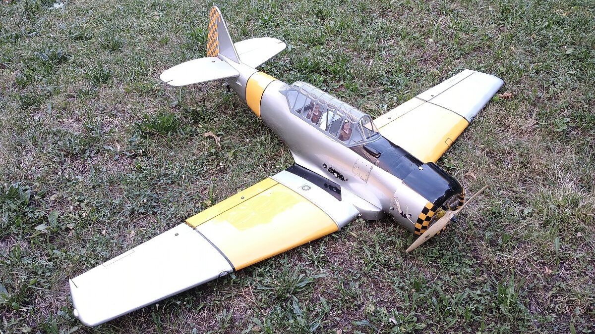 AT-6 Texan Black horse