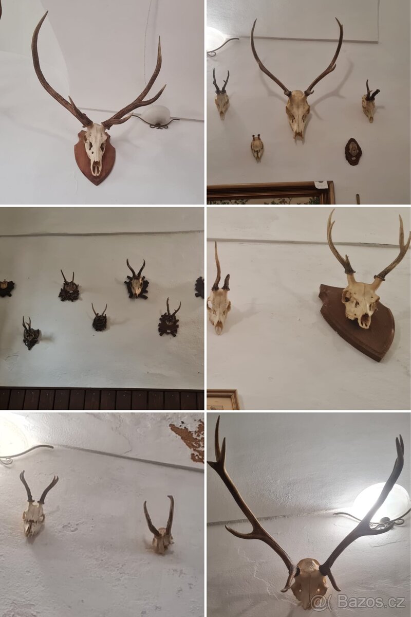 Prodej starožitné výzdoby z klášterní restaurace
