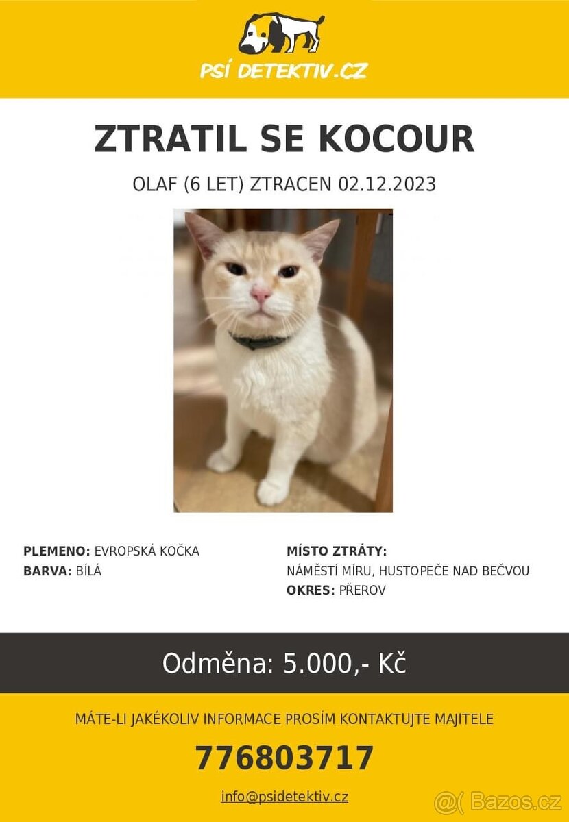 HLEDÁ SE OLÍ