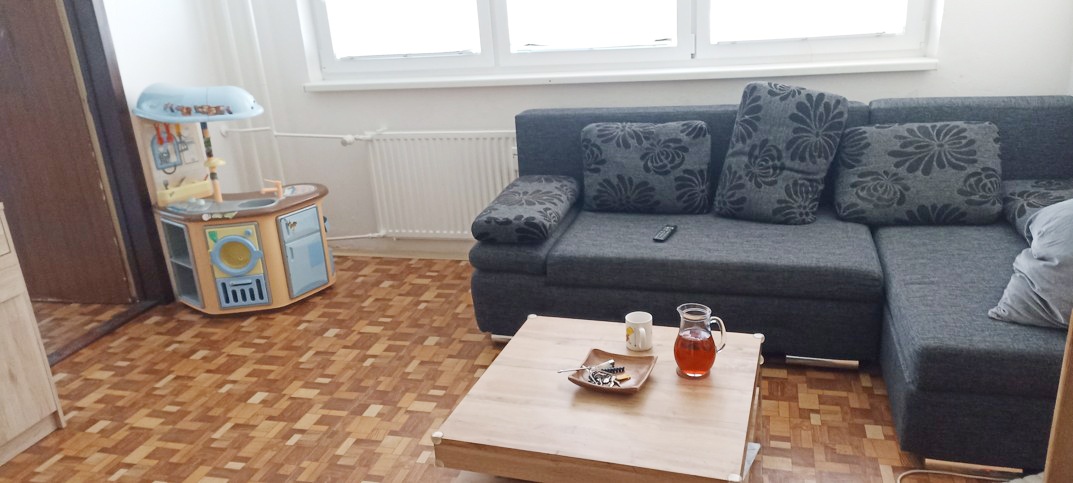 2+1 O.- Dubina, 12.000 Kč i s energiemi, volné kolem 20. 5.