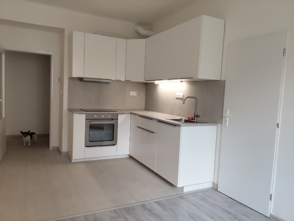Pronájem bytu 1+1, 46m2 , PRAHA 4 Nusle