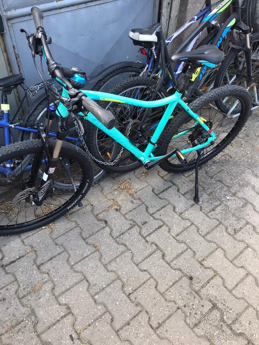 Horské kolo Wheeler