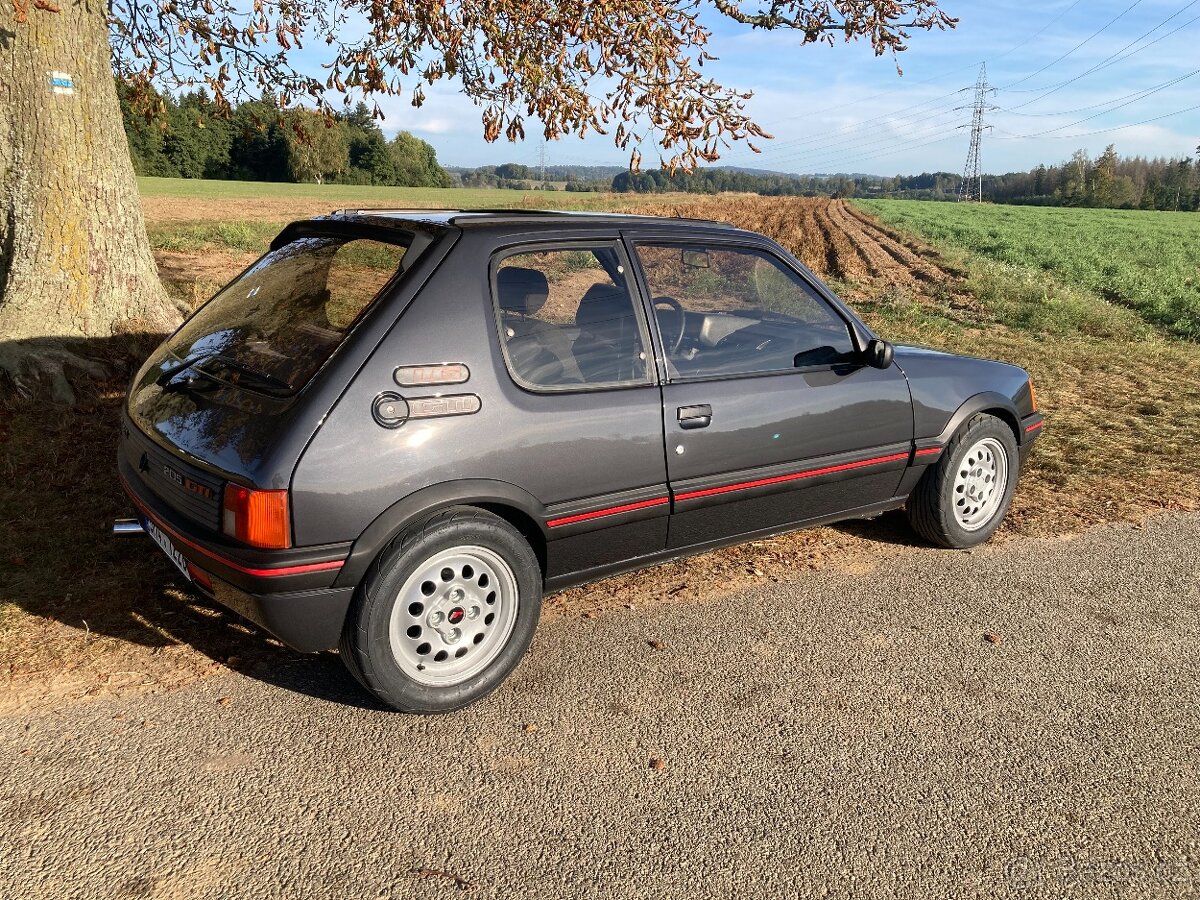 205 GTI 1.6