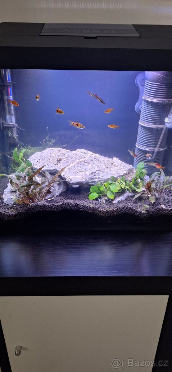 Akvarium aquael