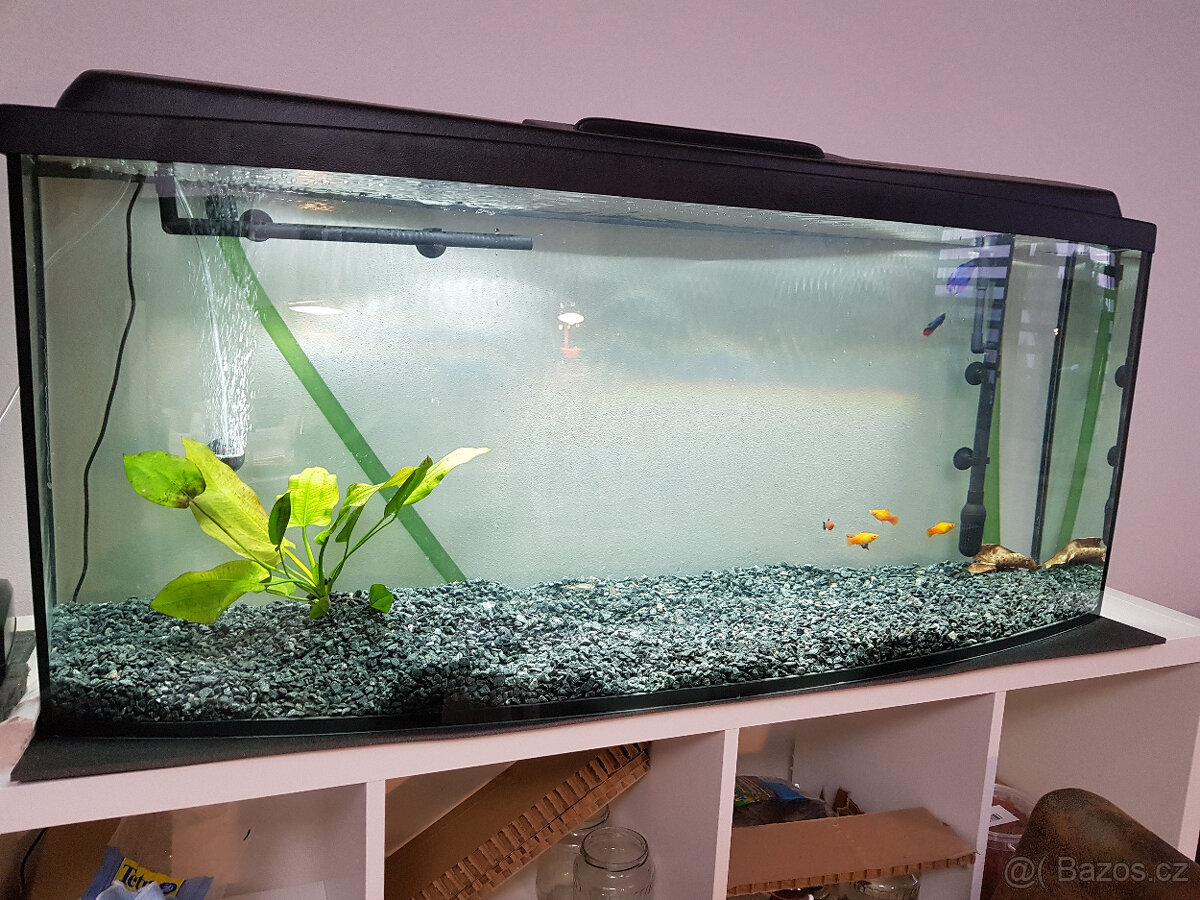 Akvárium Vypouklé objem 240L