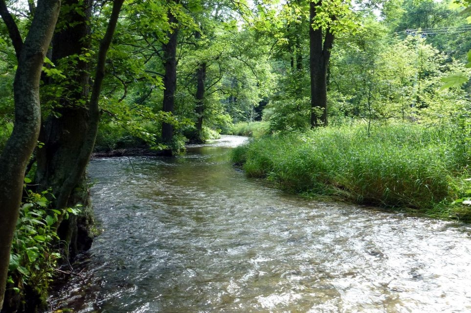 Prodej pozemku na břehu řeky Moravice