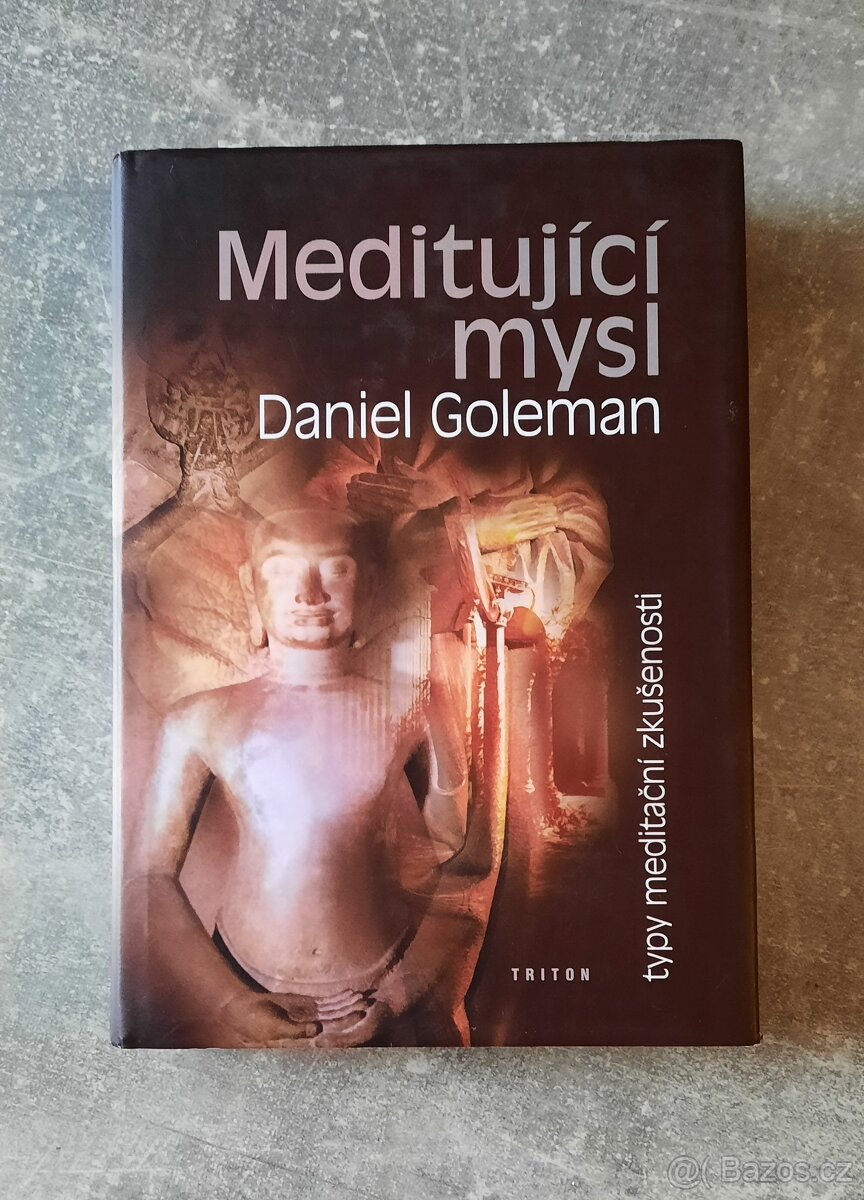 Daniel Goleman - Meditující mysl