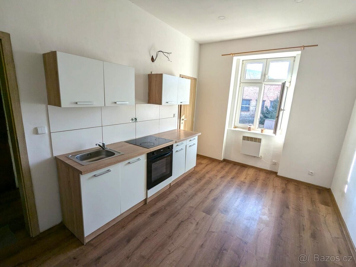 Pronájem bytu 1+1, Žižkova 516/246, Trmice