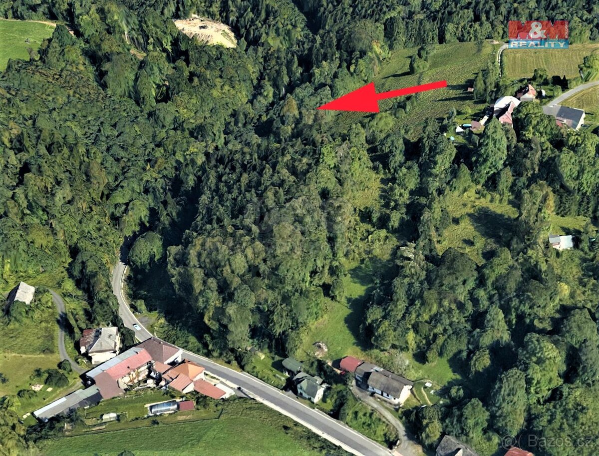 Prodej lesa, 987 m², Koberovy