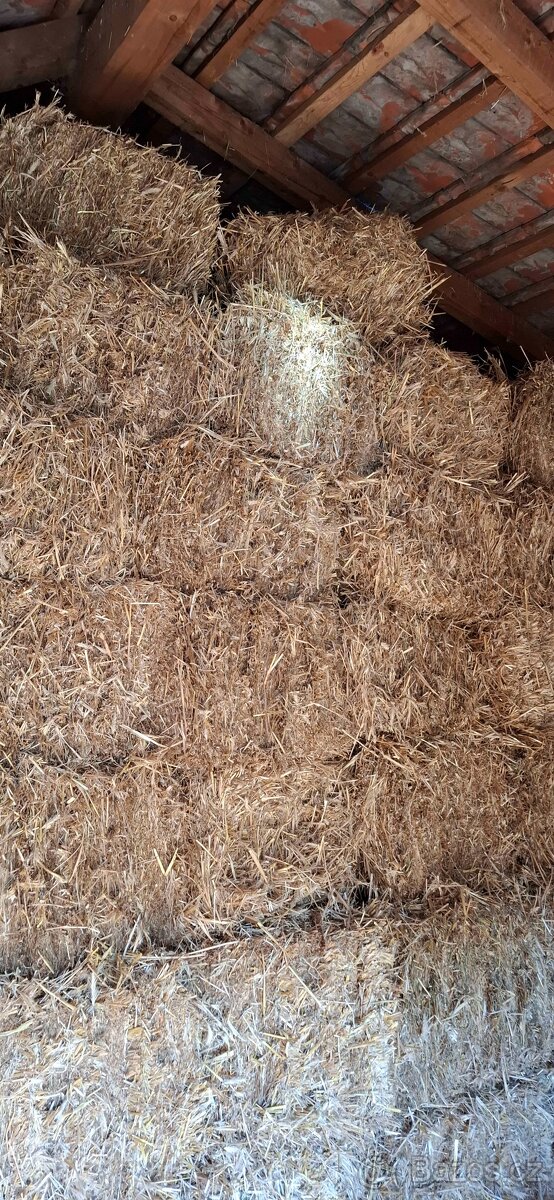 Sláma pšeničná v malých balících