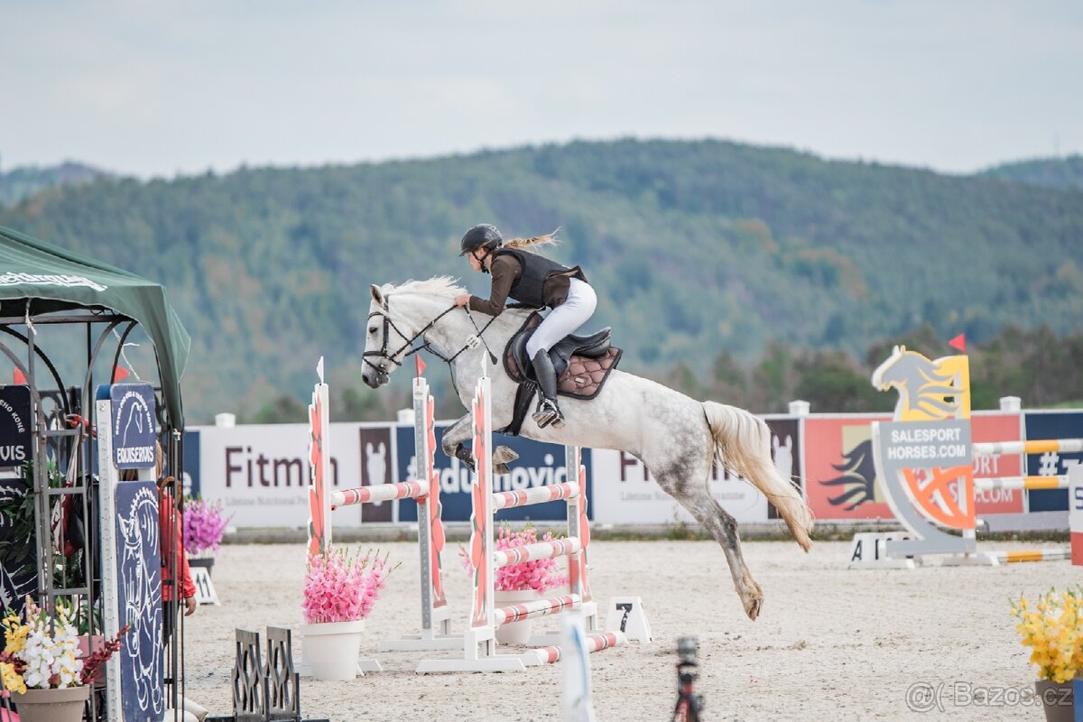 Sportovní pony B