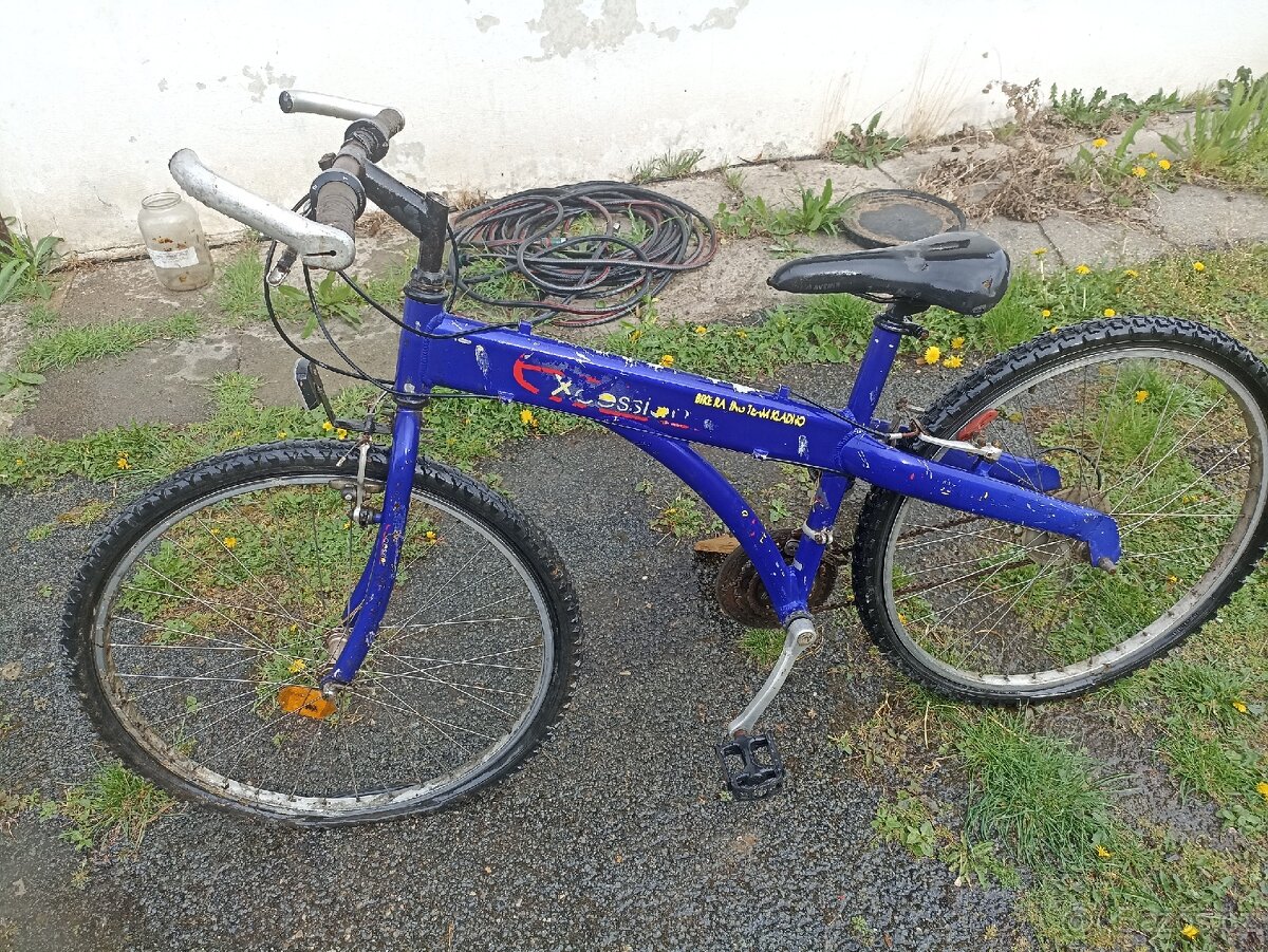 Kolo
