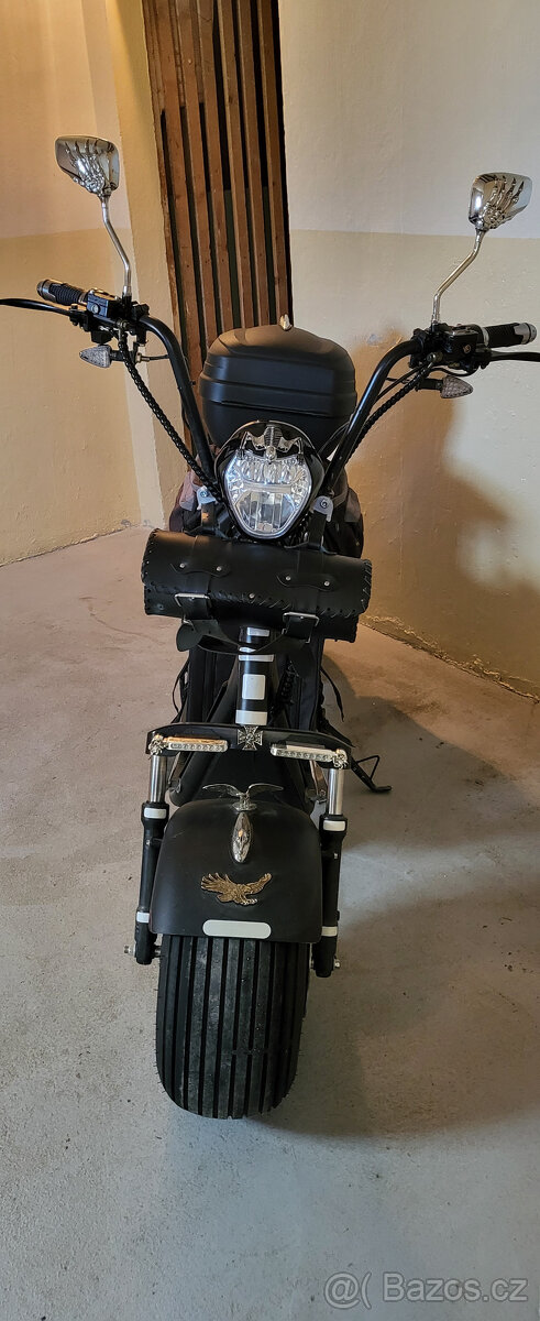 ECO Harley 1500W Exclusive