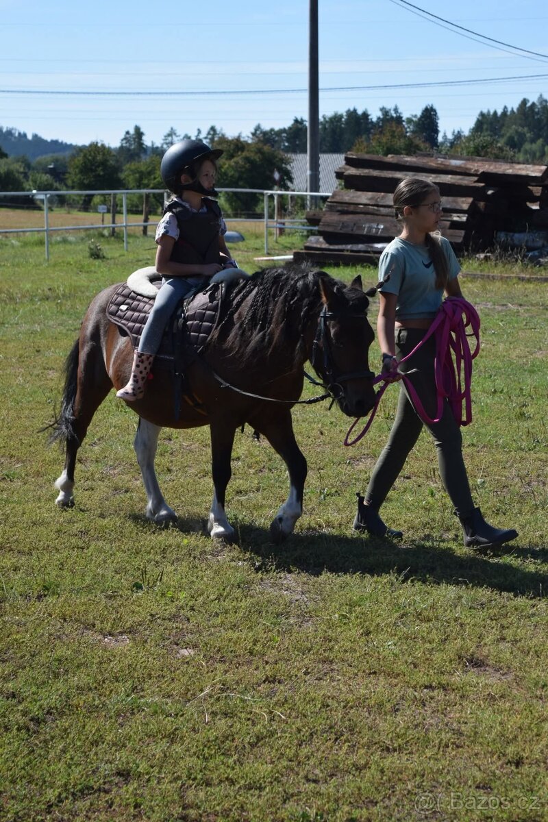 HORSE PONY