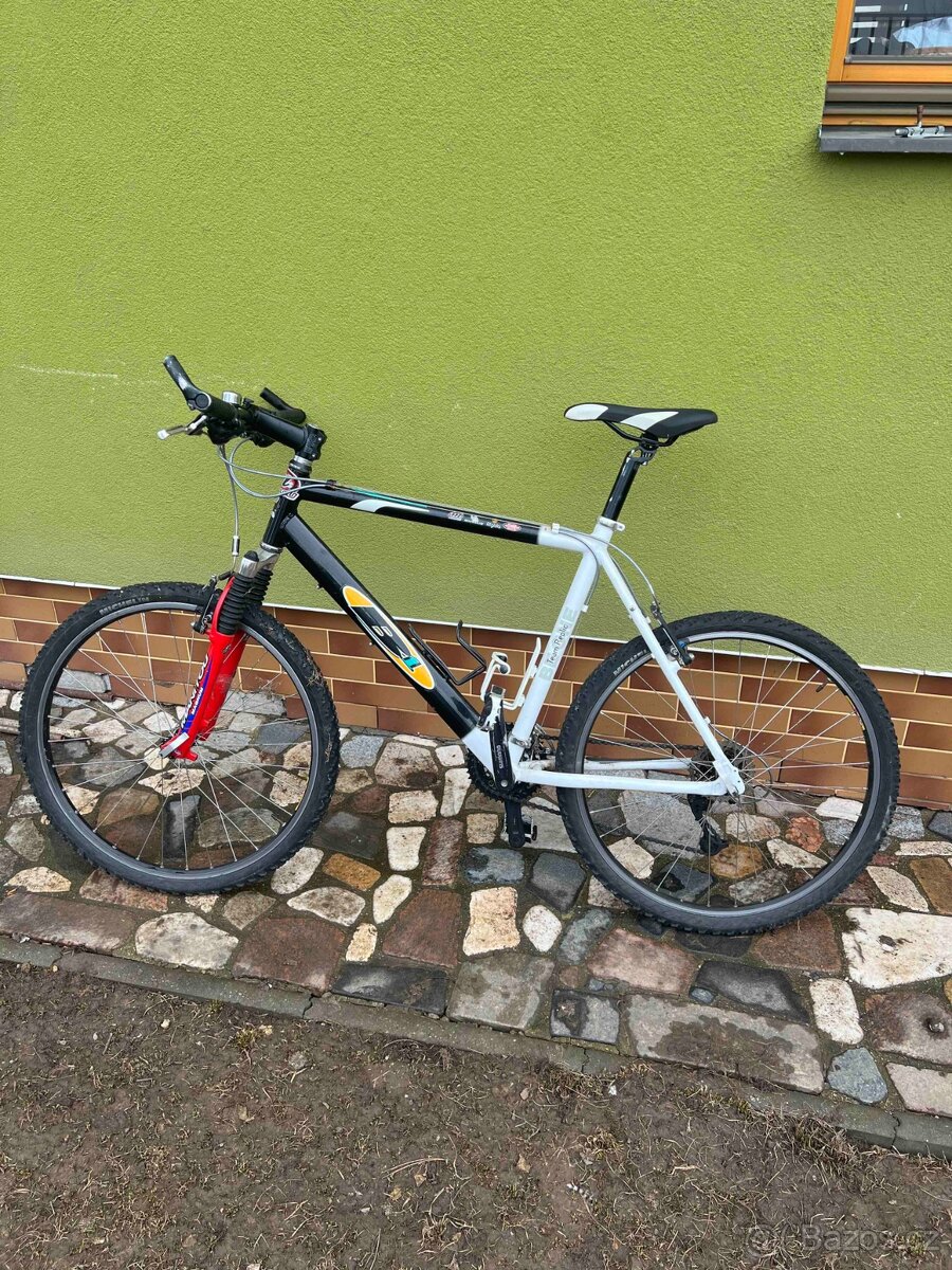 Horské kolo Team Replic B1