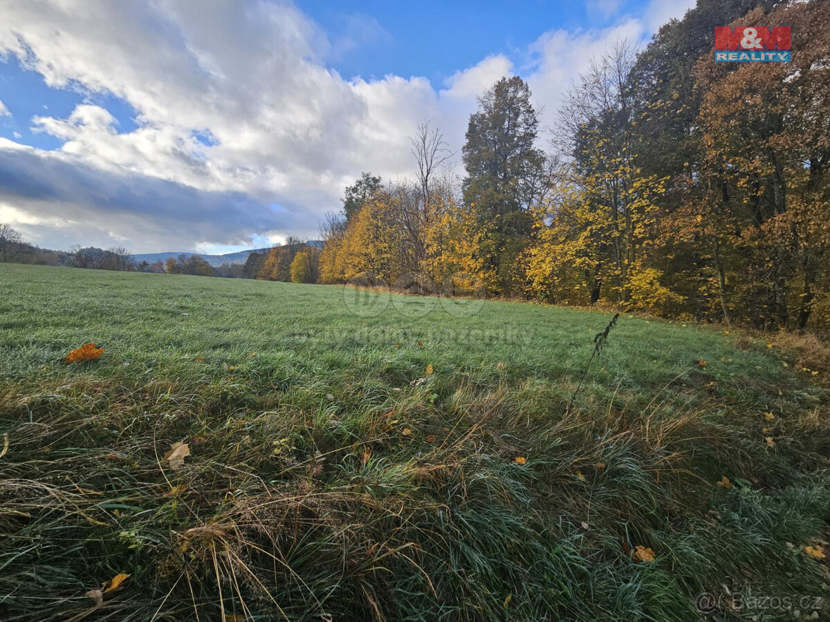 Prodej pole, 3616 m², Vrbno pod Pradědem