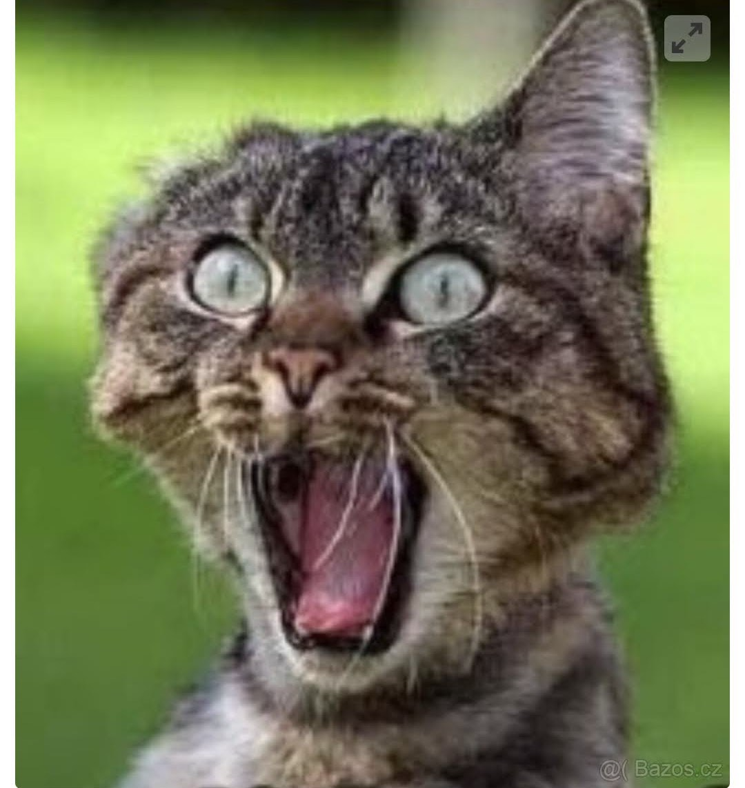 Bydlení zdarma pro mladého muže v tísnivé životní situaci