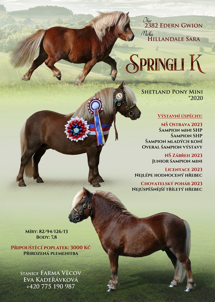 Připouštění shetland pony mini