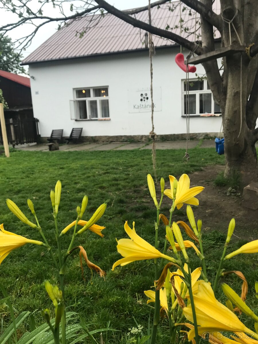 Chalupa - dovolená - léto