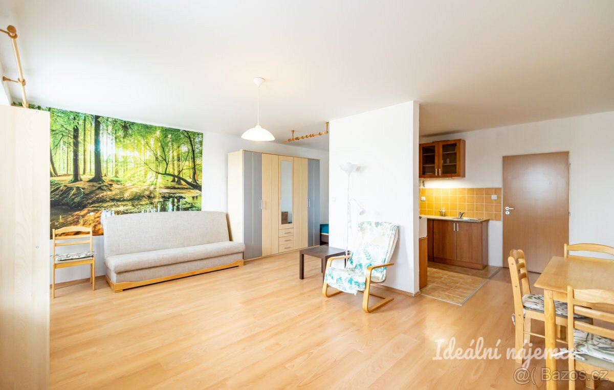 Pronájem bytu 1+kk, Komenského, Šestajovice u Prahy, 14900 K