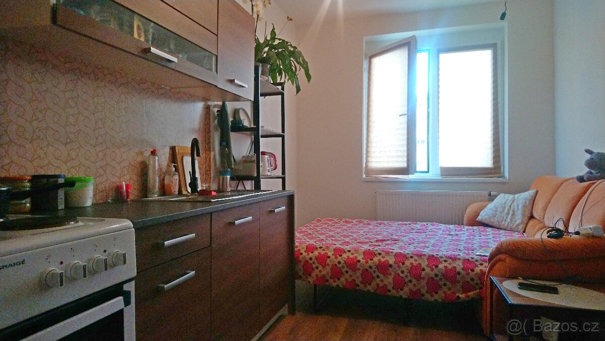 Podnájem 1+1 +park.+sklep, 40m2 (Františkov, ul. Švermova)