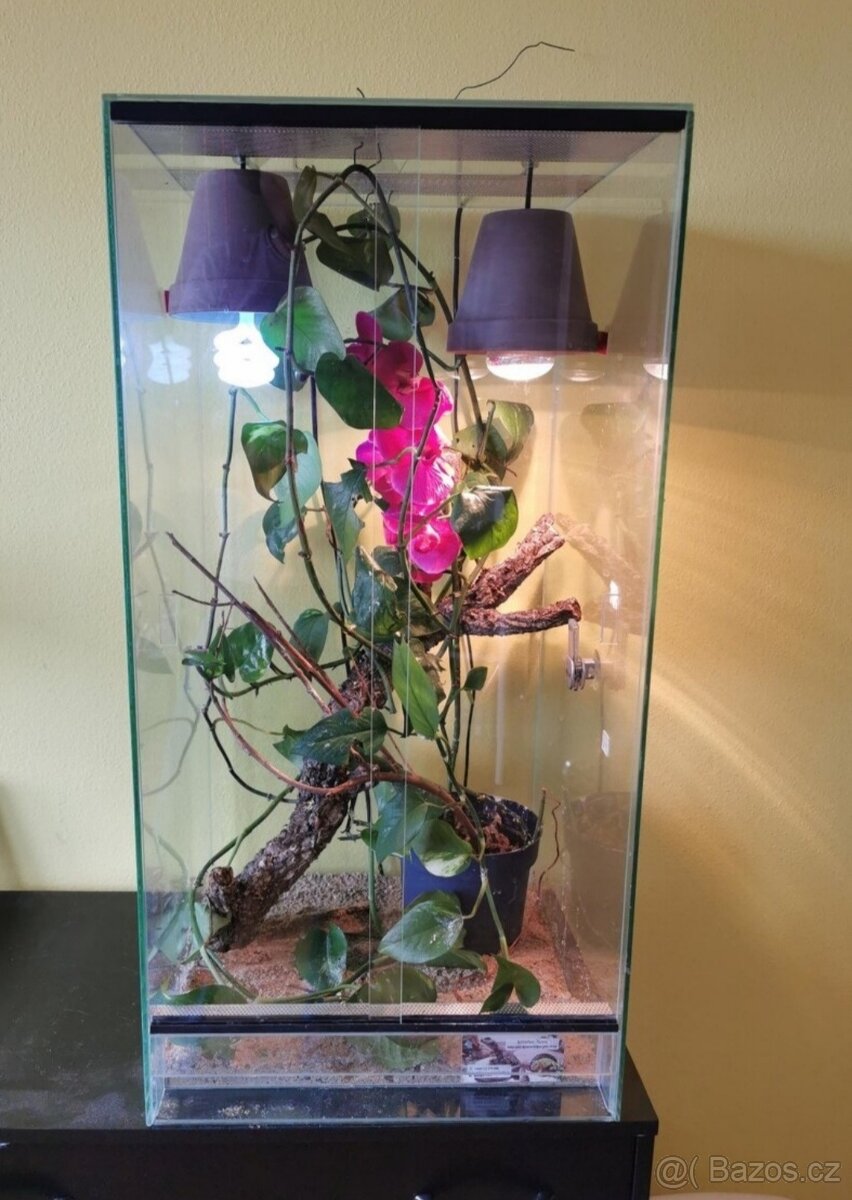 Terárium 50x50x80 nové .Terarium bez vybaveni.Vhodné pro cha