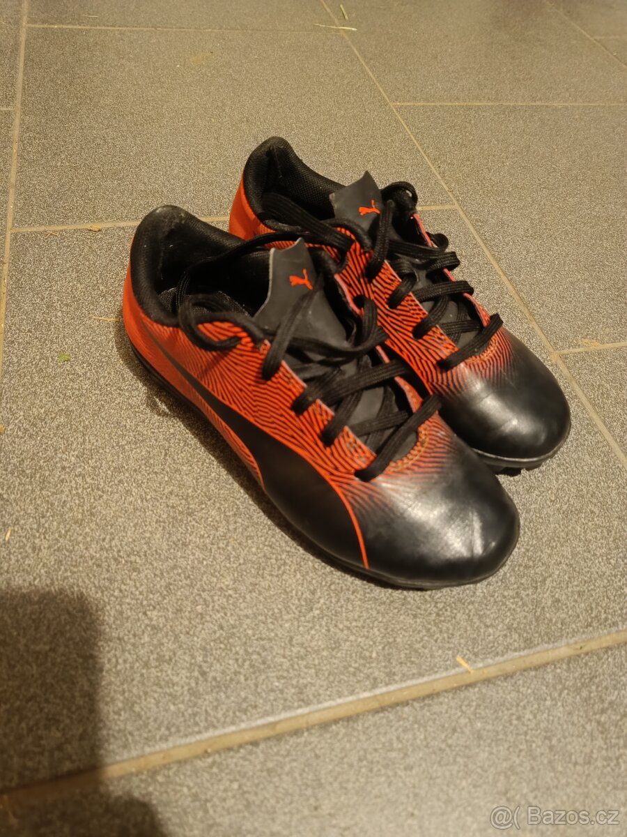 Turfy Puma