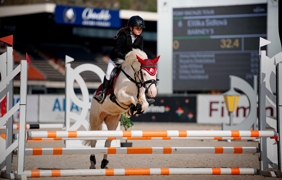 Prodám sportovního pony S