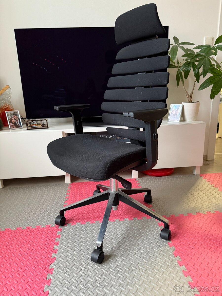 Ergonomická kancelářská židle Fish Bones