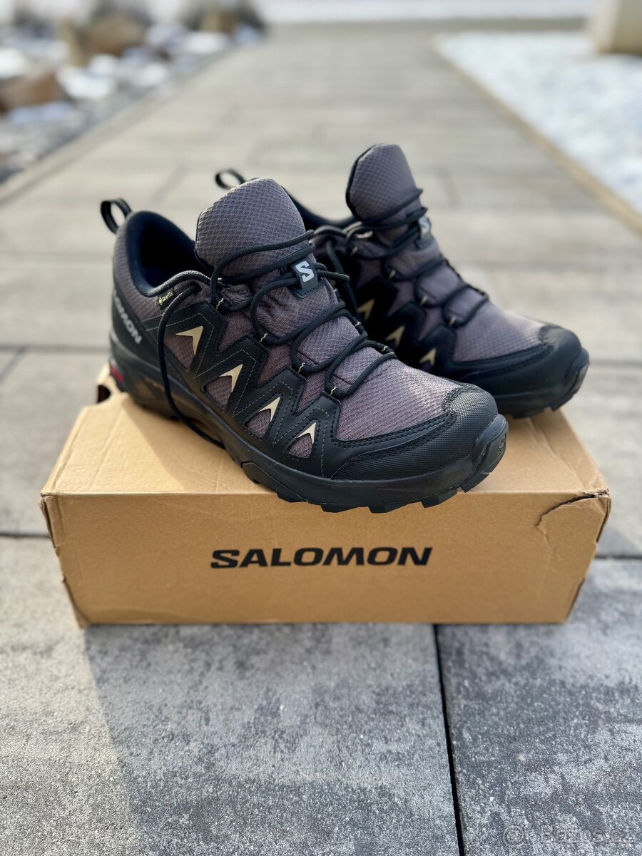 Salomon X Braze Gore-Tex