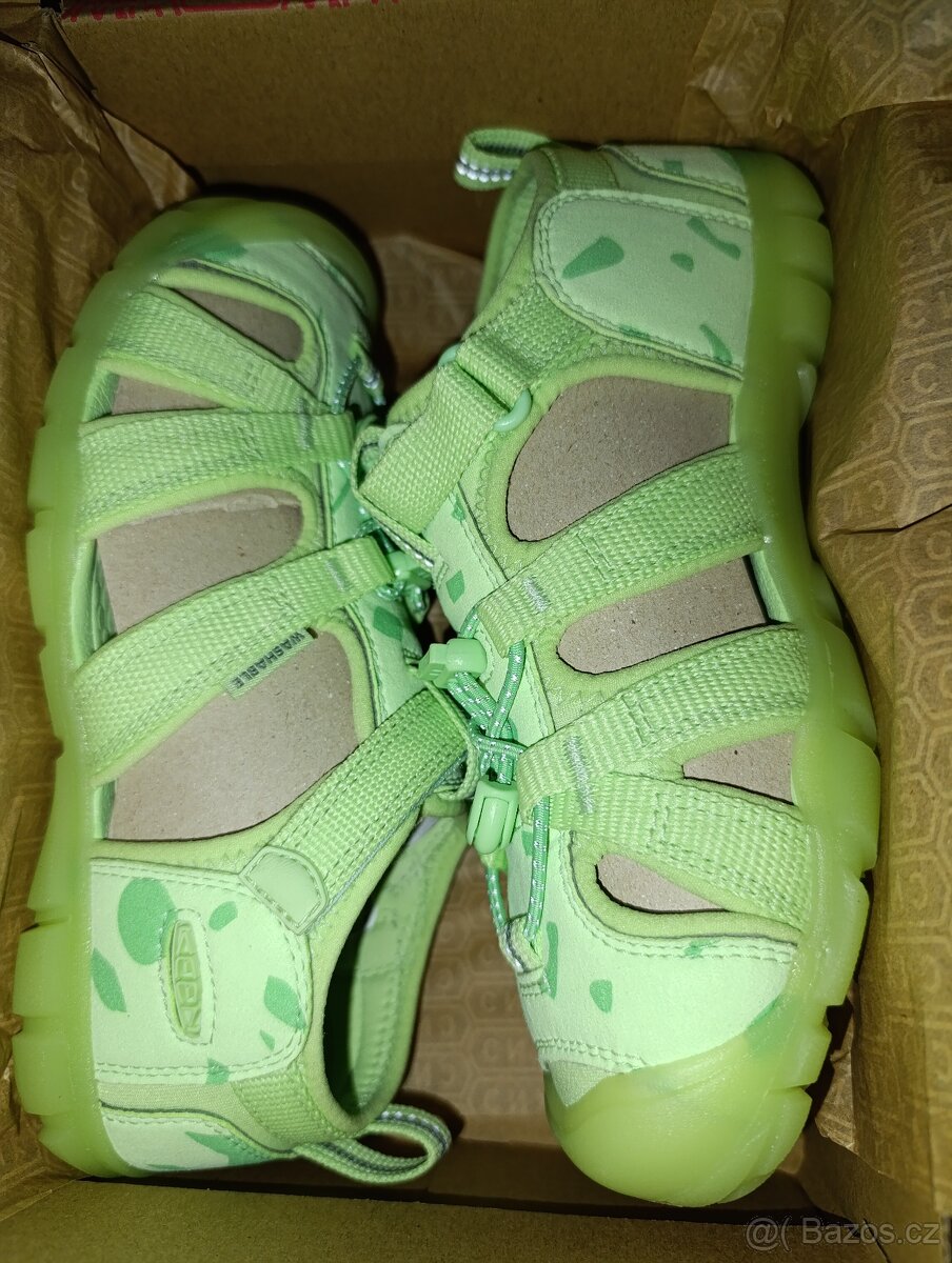 nove keen seacamp