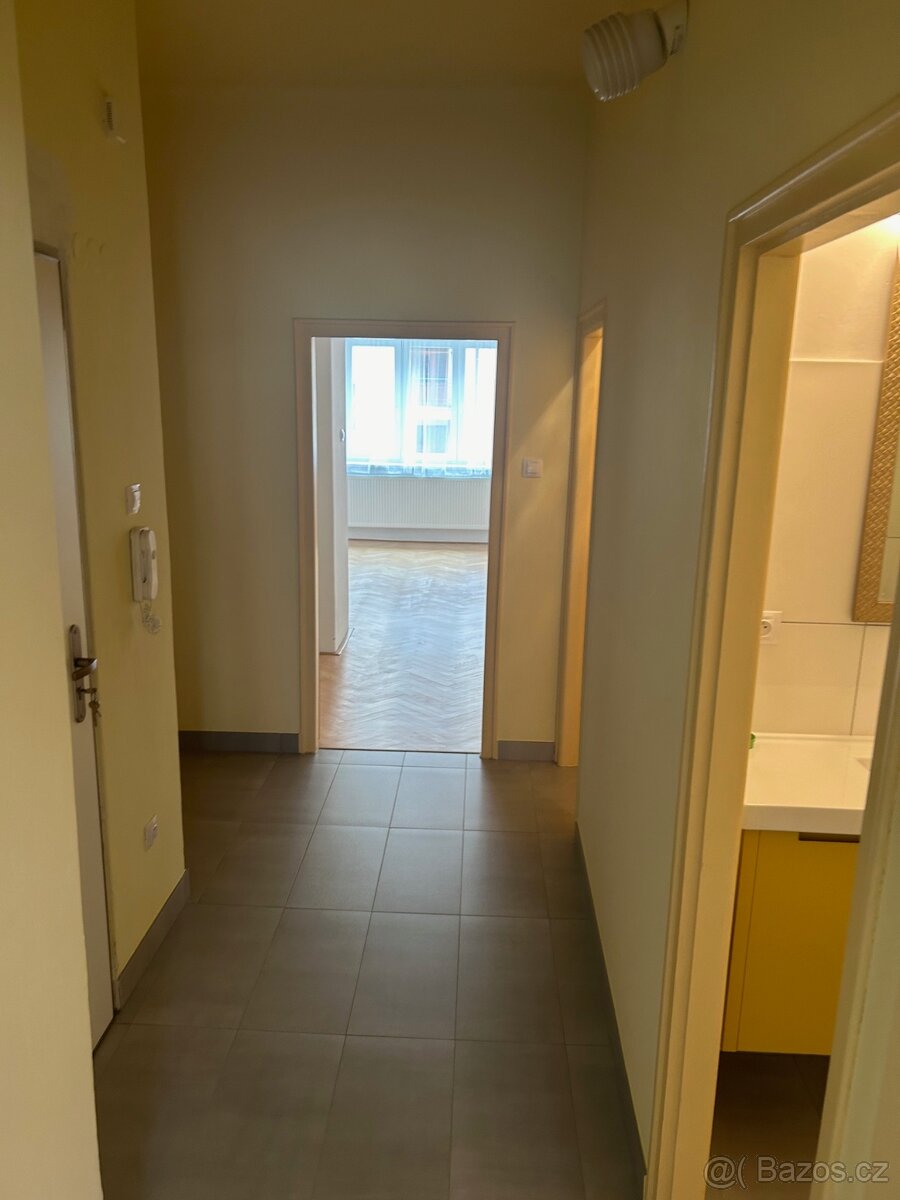 Byt 1+1 k pronajmu v Praze 6, Brevnov, BEZ PROVIZE