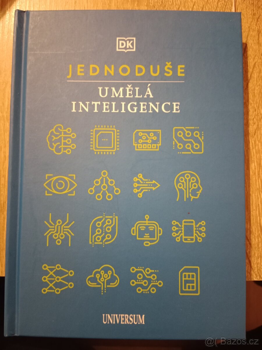 Umělá inteligence – kniha