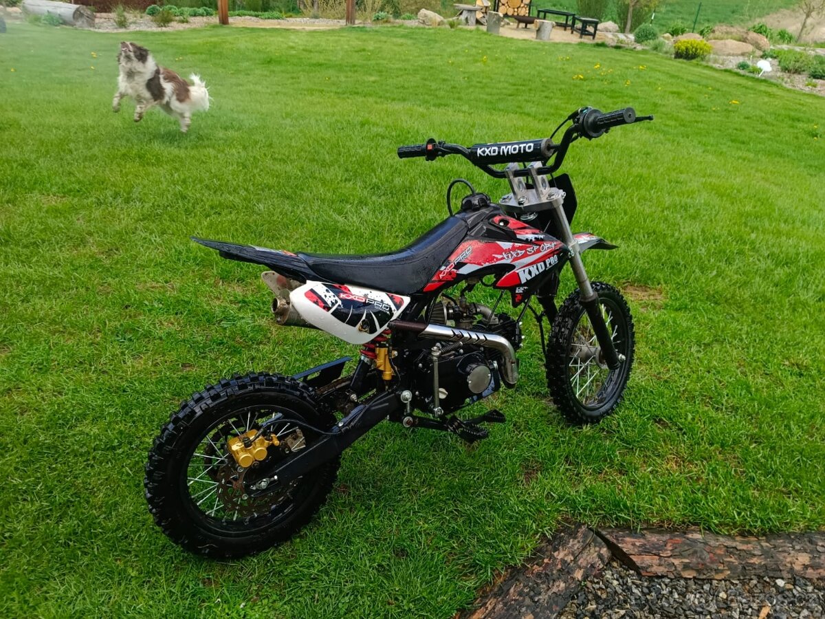 Prodám pitbike 125
