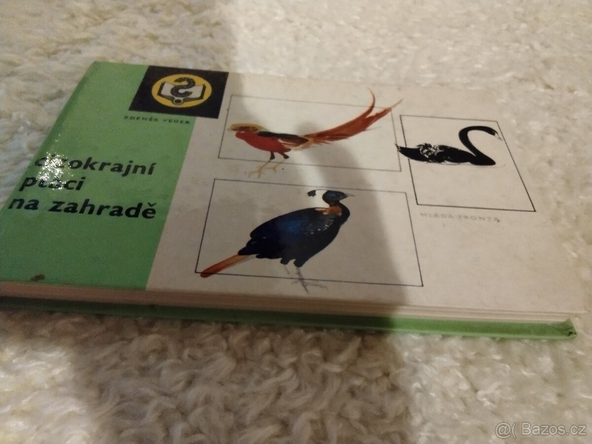Kniha Cizokrajní ptáci na zahradě