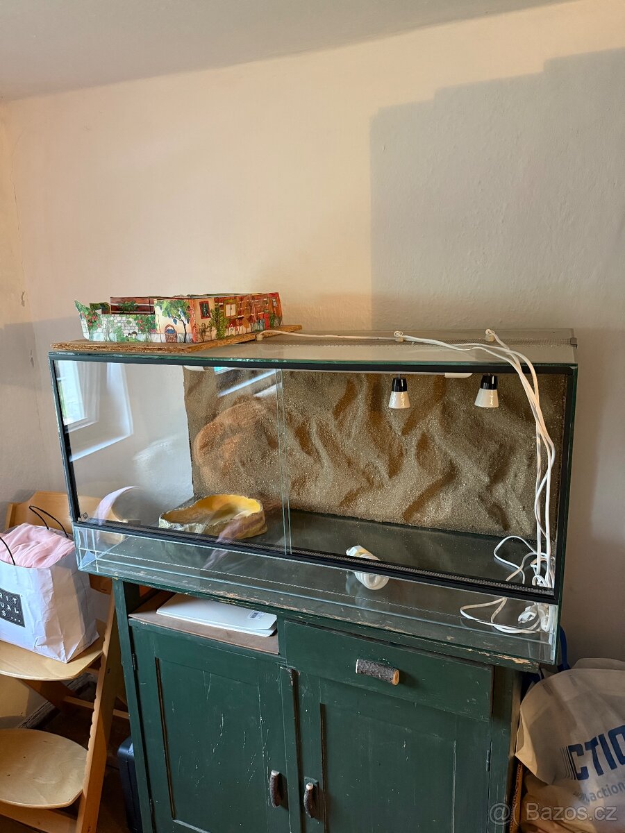 Terárium se 3D stěnou 100x45x50
