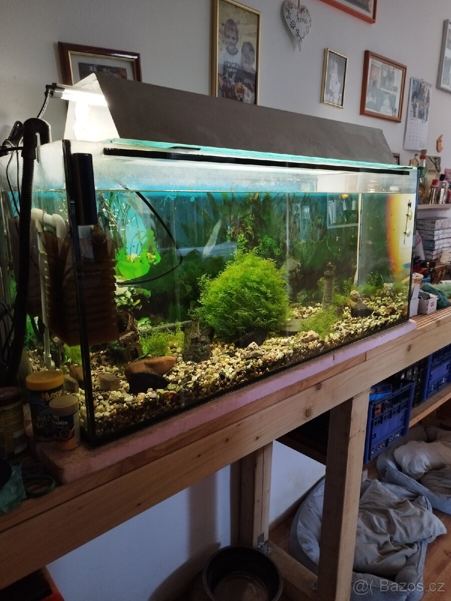 Prodám akvárium i s příslušenstvím