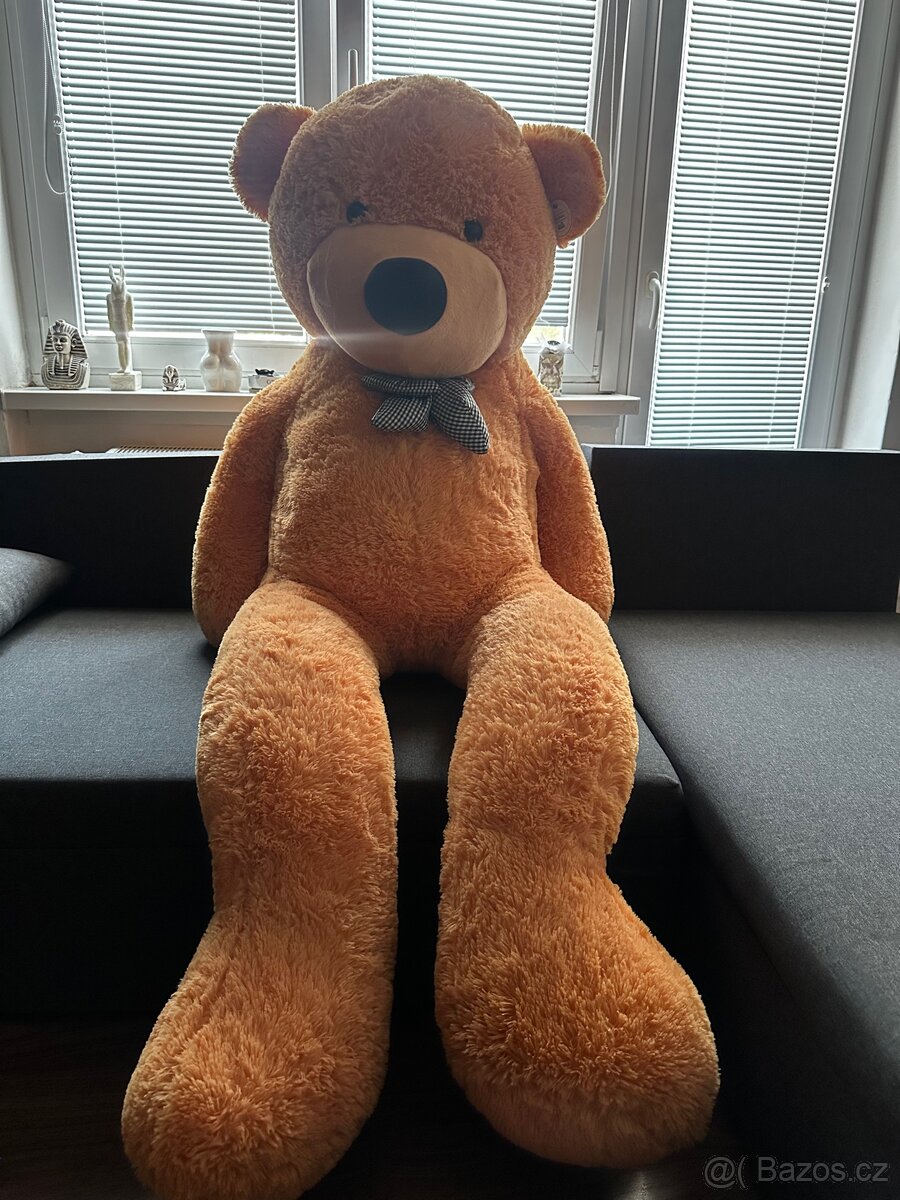 Plyšový medvěd