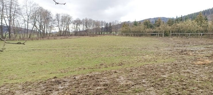 Oplocený pozemek 11.000m2 pro koně, atd. + maringotka.