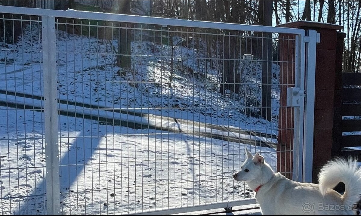 brána pojezdová pozink