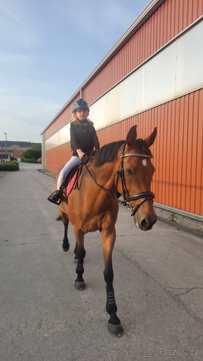 Valach 11 let do sportu