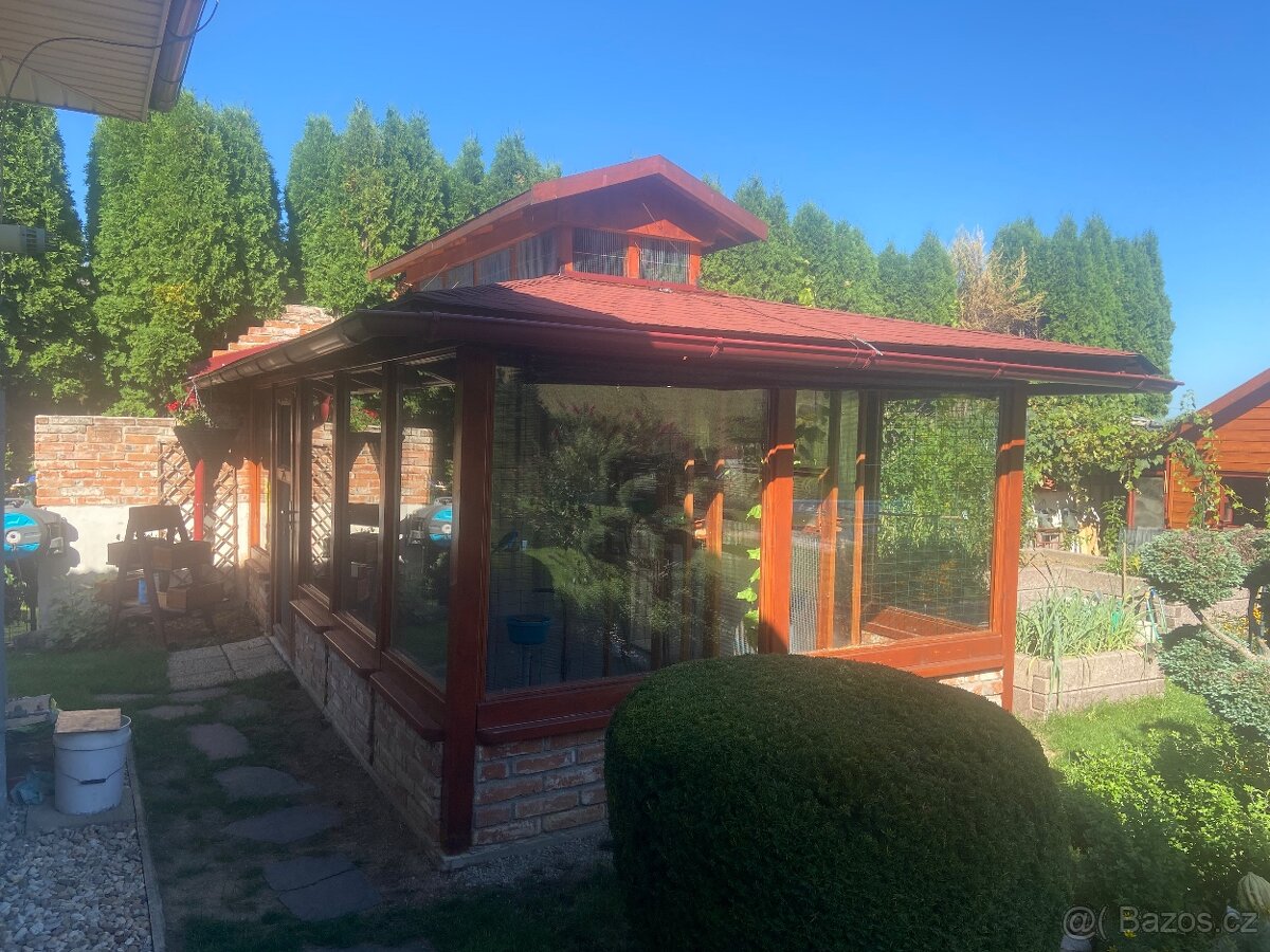 NEOFÉMA MODROHLAVÁ