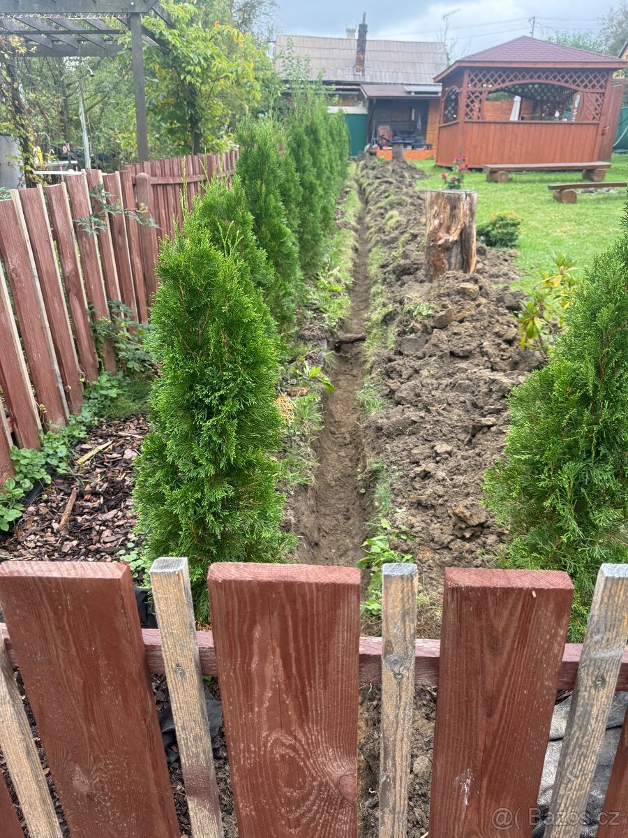 Nabízím své služby